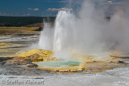 Clepsydra Geyser, Fountain Paint Pots Area, Yellowstone NP, USA